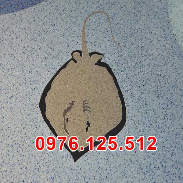 mau-be-tong-mau-008