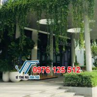 Đá mài granito 24