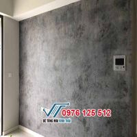 Mẫu sơn giả bê tông 02