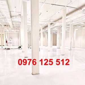 Mẫu sàn terrazzo silicate 09