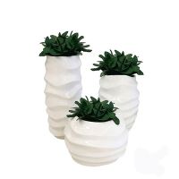 Chậu cây Composite 21