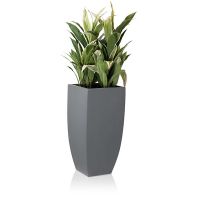 Chậu cây Composite 24