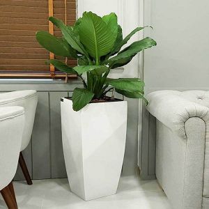 Chậu cây Composite 28